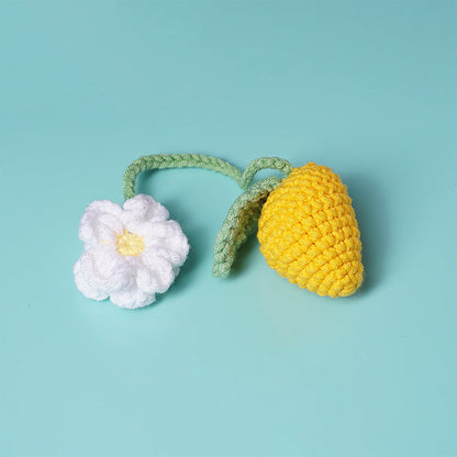 Mango Daisy Car Hanging Crochet Pattern