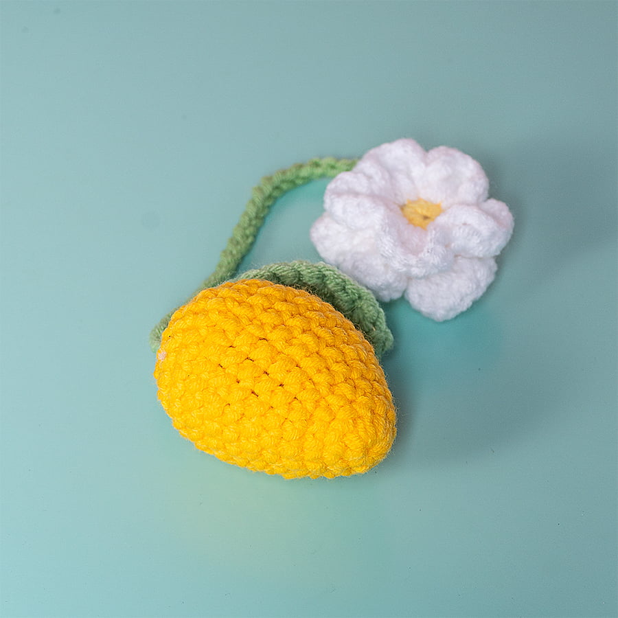 Mango Daisy Car Hanging Crochet Pattern