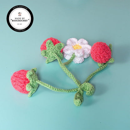 Raspberry Car Hanging Crochet Pattern