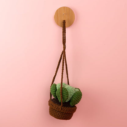 Aeonium Crochet Basket Car Hanging